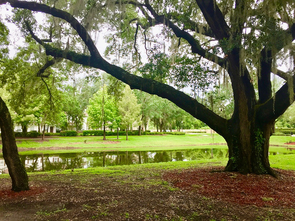 Resort image 16