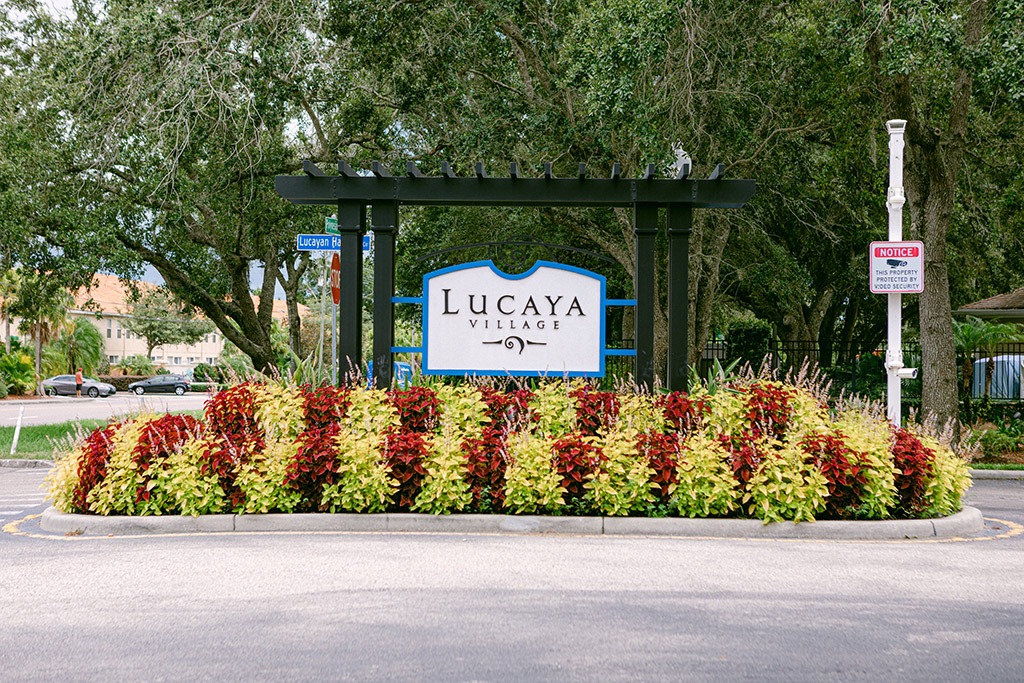 Resort image 19