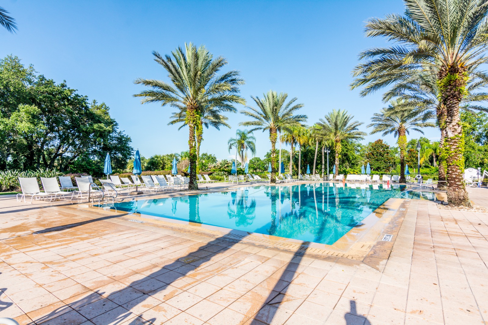 Resort image 7